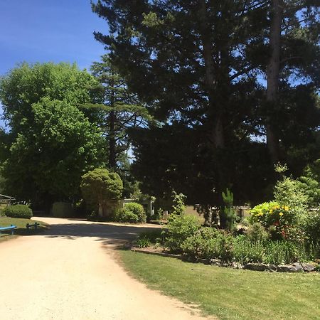 Daylesford Holiday Park Eksteriør bilde
